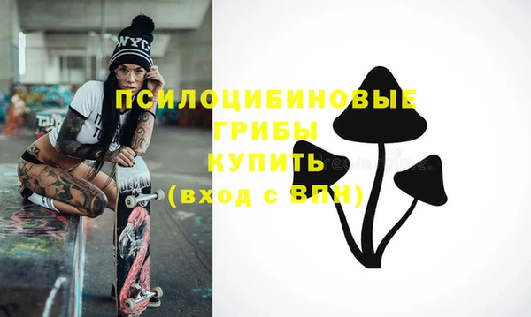 ПСИЛОЦИБИНОВЫЕ ГРИБЫ Алексин