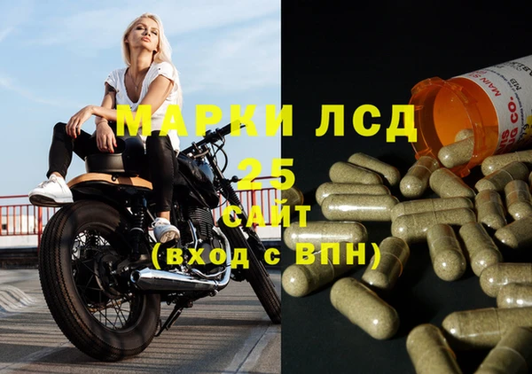 spice Алзамай