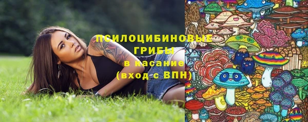 spice Алзамай