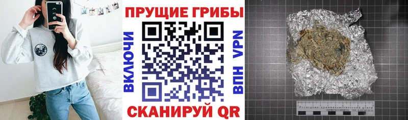 Псилоцибиновые грибы Cubensis  Новоуральск 