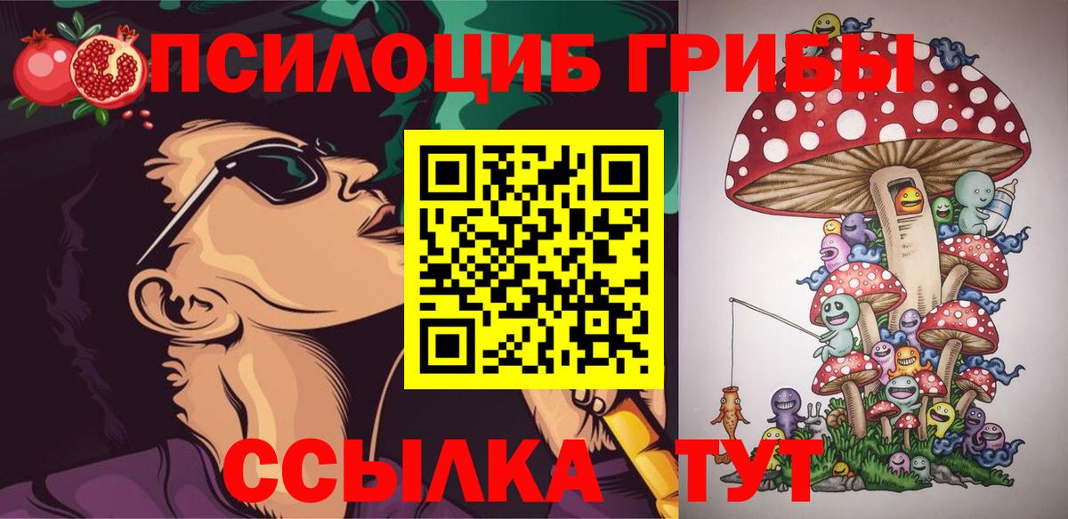 где купить наркоту  Галлюциногенные грибы Magic Shrooms  Псилоцибиновые грибы ЛСД  Вход с VPN  Новоуральск 